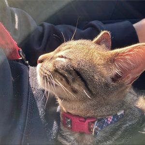 Meet your Posher, Norma